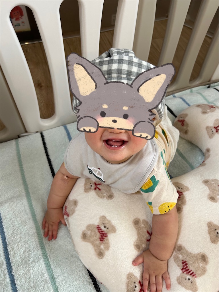 f:id:hazublog:20250604212849j:image f:id:hazublog:20250604212849j:image