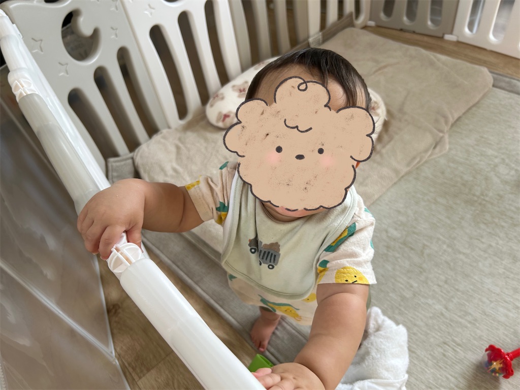 f:id:hazublog:20250703101350j:image