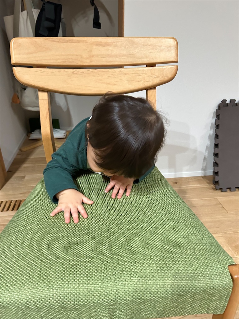 f:id:hazublog:20260125204850j:image f:id:hazublog:20260125204850j:image