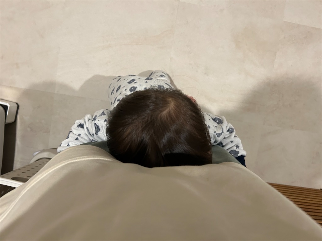 f:id:hazublog:20260126083728j:image f:id:hazublog:20260126083728j:image