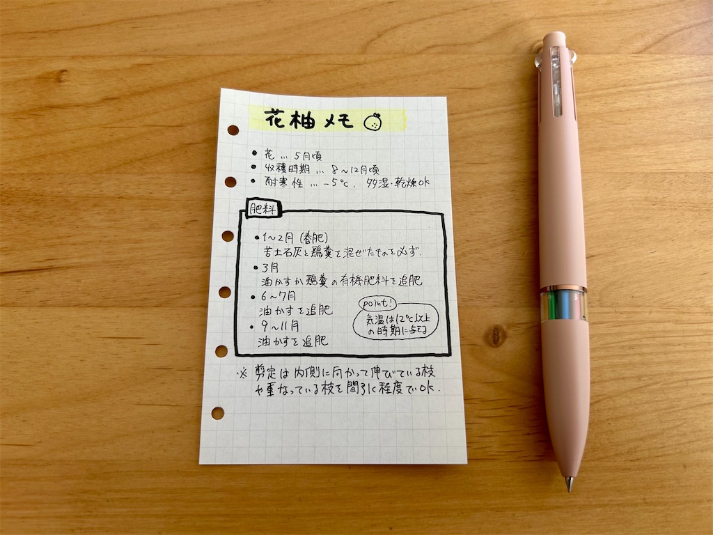 f:id:hazublog:20260212135034j:image