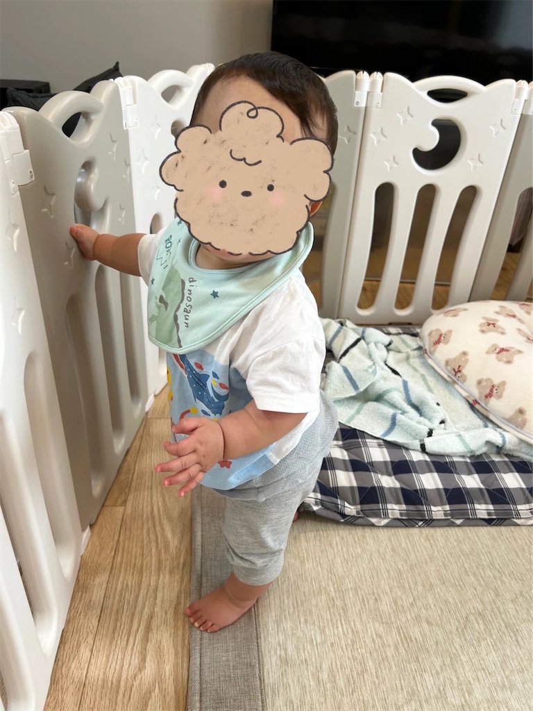 f:id:hazublog:20260222225917j:image
